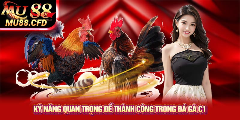 Lý Do Nên Thử Sức Với Đá Gà C1