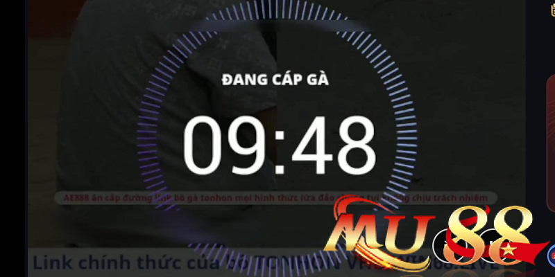 Sảnh đá gà GA28 - Sảnh cược đá gà C8, DR và Jackpot 2026 2 chế độ live đá gà