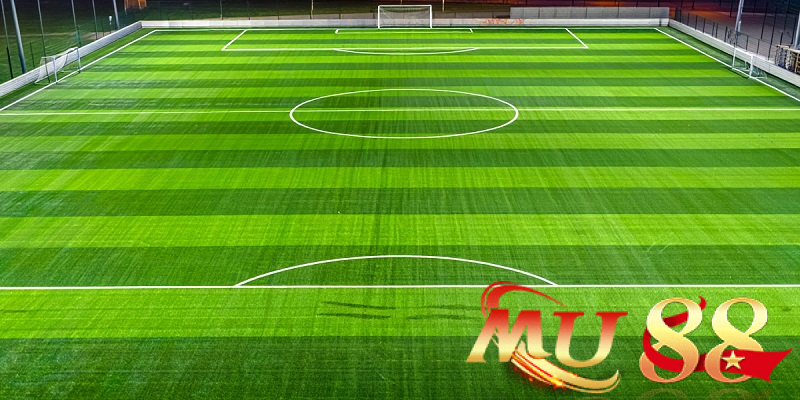 Sân vận động World Cup 2026 - Danh sách 16 địa điểm tổ chức 4 Xem xét mặt sân và không gian thi đấu
